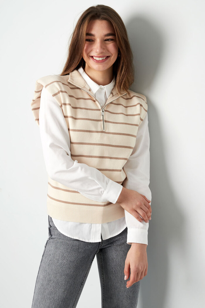 Striped spencer with zipper - beige brown Picture3
